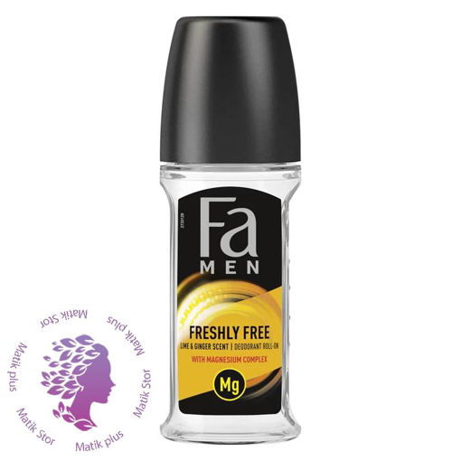 رول ضد تعریق مردانه مدل Freshly Free