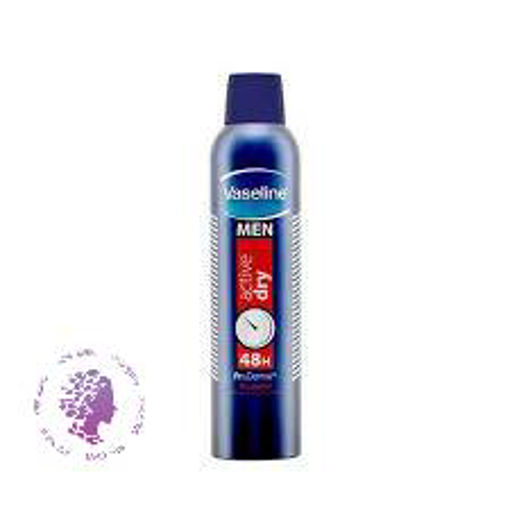 اسپری ضد تعریق مردانه مدل Active Dry حجم 250 میلی لیتر