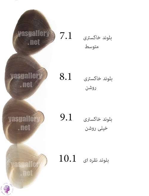 رنگ مو نیو پرستیژ کالر بدون امونیاک