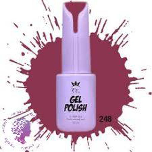 لاک ژل 10 میل شماره248