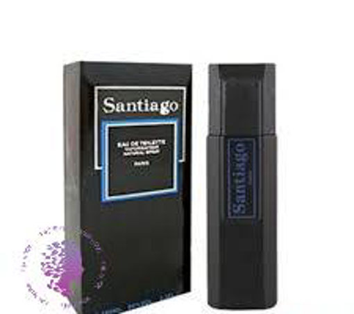 ادکلن  مردانه سانتی 100 میل