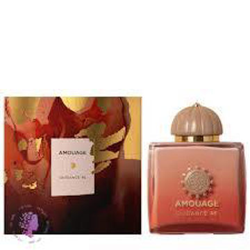 عطر ادکلن  گایدنس Guidance