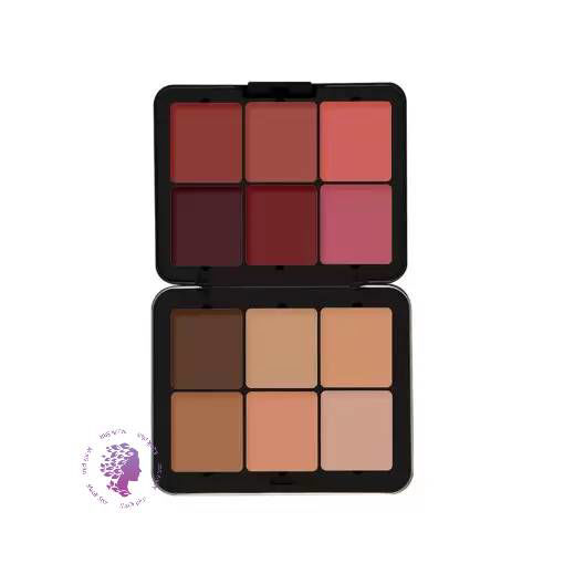 پالت رژگونه و کانتور چرب فیوچر میکاپ FU103