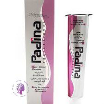 کرم رنگ مو پادینا